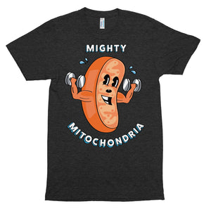 Mitochondria - The Powerhouse of the cell!